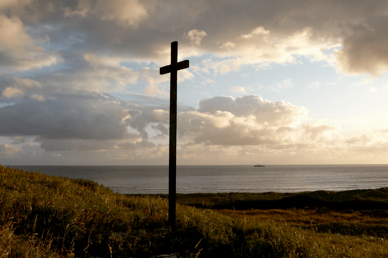 Image hover effect image